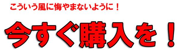 今すぐ購入を!