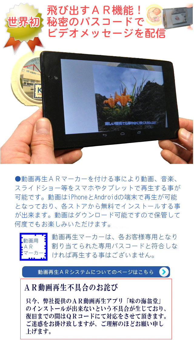 動画再生システム