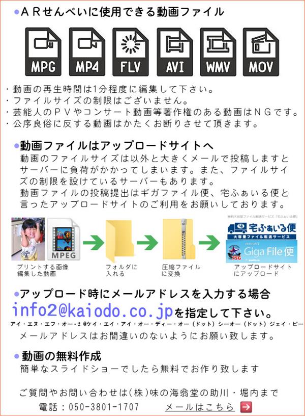 動画データについて