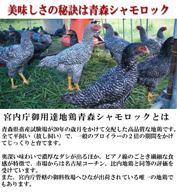 青森地鶏シャモロック