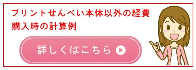 プリントせんべいの計算例