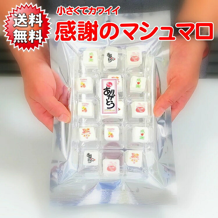 送料無料のプリントお菓子