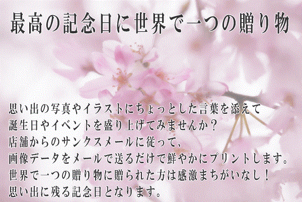 最高の記念日に世界で一つの贈り物　プリント南部せんべい