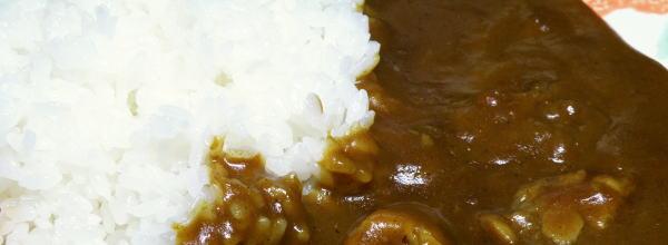 田子ブランドのにんにくがたっぷり入ったカレー