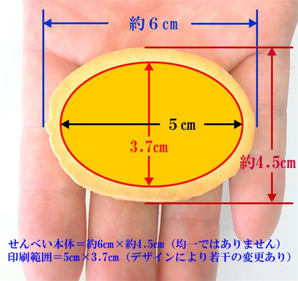 チビせんのサイズ