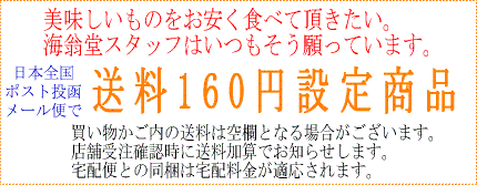 格安送料　メール便で送料160円