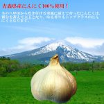 hayachine005-3p