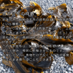 480448